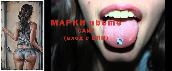 сатива Няндома