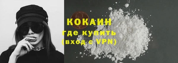 сатива Няндома