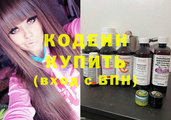 сатива Няндома