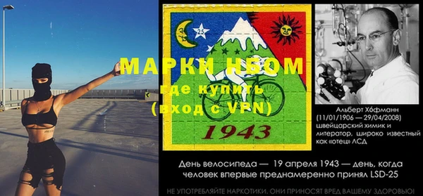 сатива Няндома