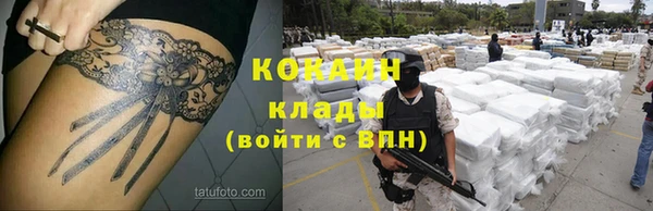 твердый Абаза
