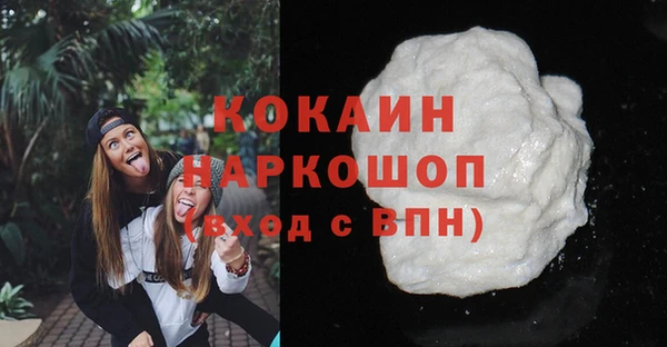 твердый Абаза